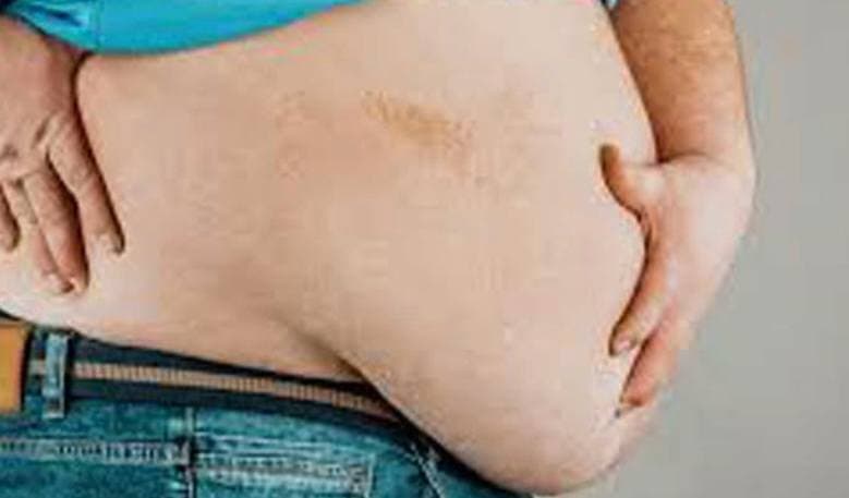 Especialista en Nutrición de la UAS explica la clasificación y diferencia