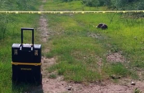 #ElDorado #Ataque #Cocodrilo