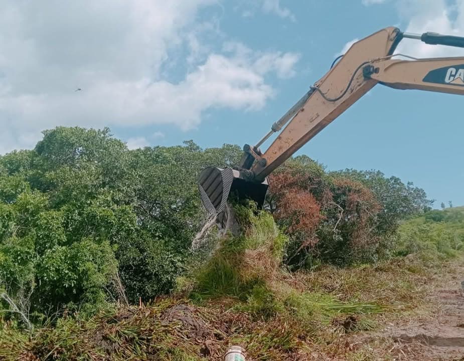 *JUMAPAM retira lirio acuático del Dique 4 y genera doble beneficio*