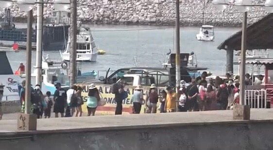 Alta demanda registran los paseos por la bahía Alta demanda registran los paseos por la bahía