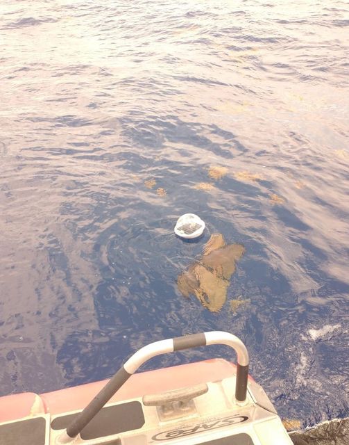La SEMAR y la Universidad Autónoma de Baja California liberan Sondas Oceanográfi La SEMAR y la Universidad Autónoma de Baja California liberan Sondas Oceanográfi