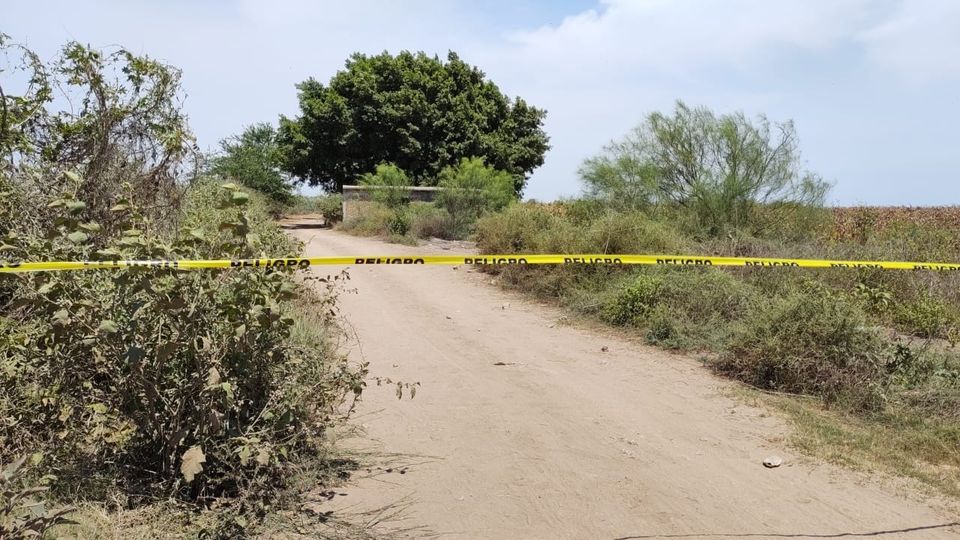 Pareja es localizada brutalmente asesinada en Guasave Pareja es localizada brutalmente asesinada en Guasave