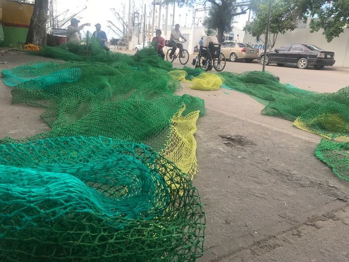 Rederos de Mazatlán resienten la crisis de la pesca Rederos de Mazatlán resienten la crisis de la pesca
