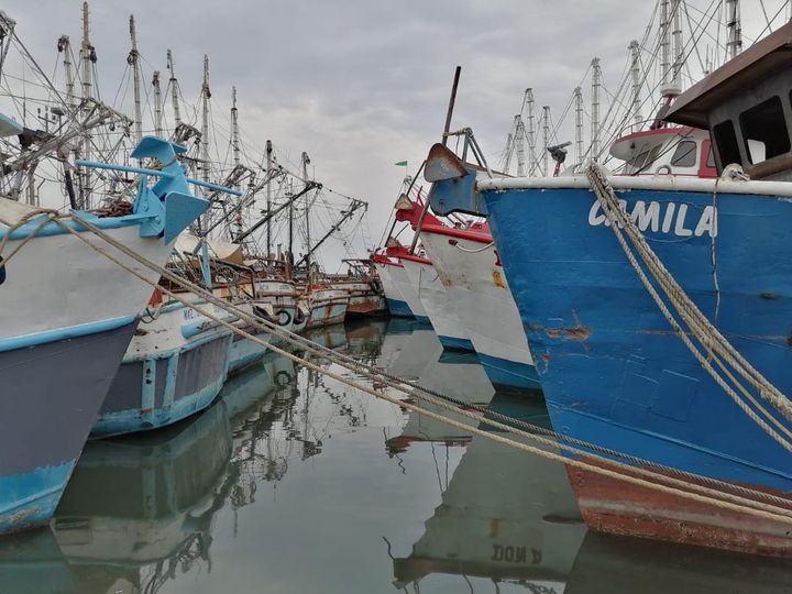 Flota camaronera mexicana obtiene alta calificación Flota camaronera mexicana obtiene alta calificación
