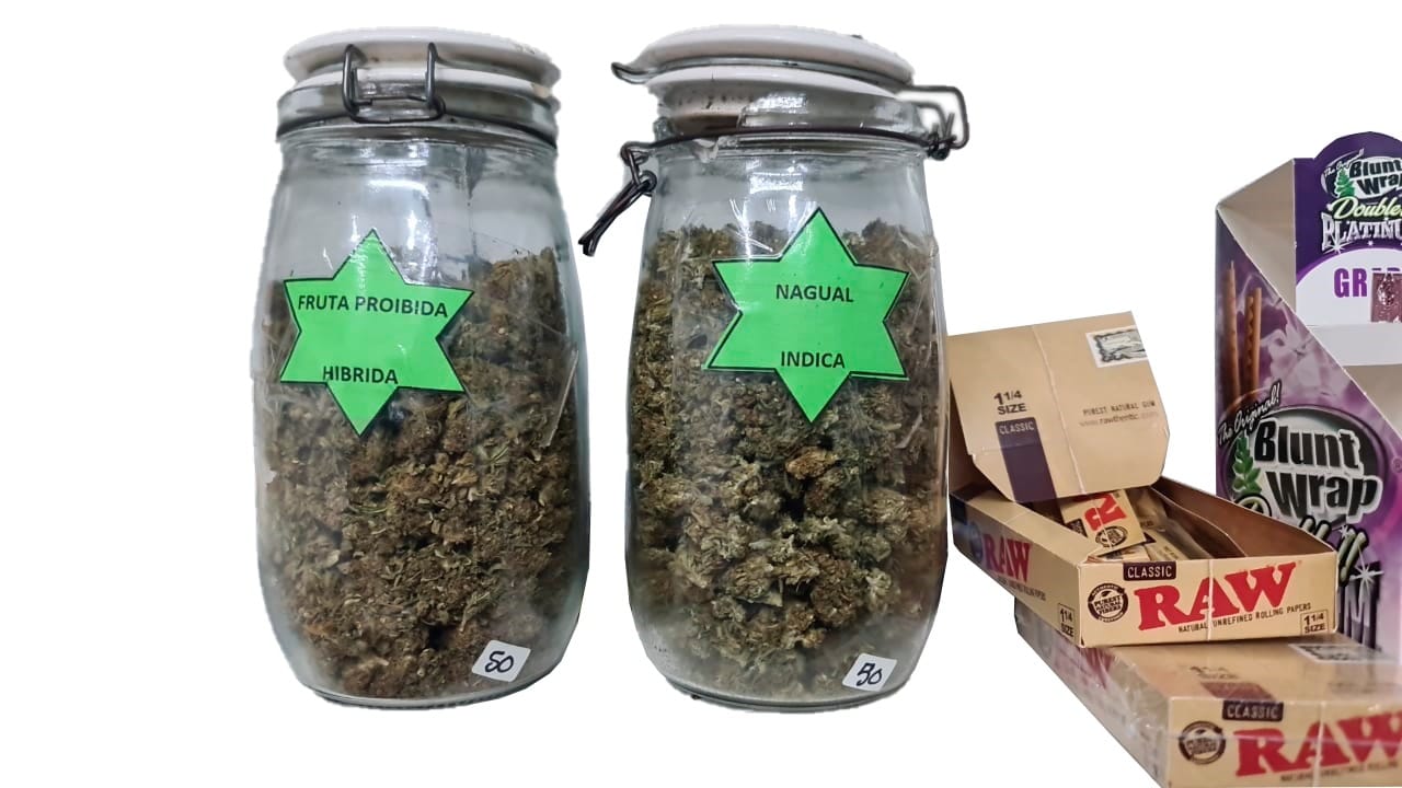 Presunta mariguana es asegurada en inmueble por SEDENA y Policía Estatal Preventiva Presunta mariguana es asegurada en inmueble por SEDENA y Policía Estatal Preventiva