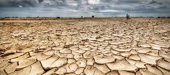 Estudio revela las 20 megaciudades que tendrán escasez de agua en 2050 Estudio revela las 20 megaciudades que tendrán escasez de agua en 2050