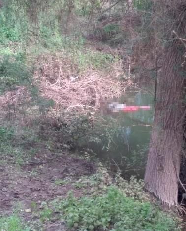 Identifican a joven encontrada sin vida en un canal de Ahome Identifican a joven encontrada sin vida en un canal de Ahome