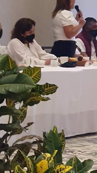 La excandidata a diputada federal por la alianza PRI-PAN-PRD, Paloma Meneses,