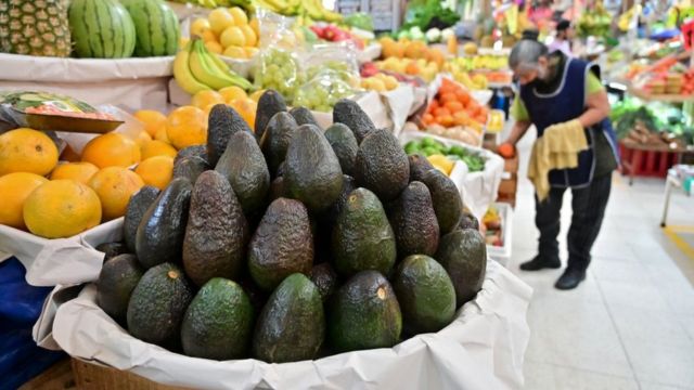 Estados Unidos reanuda el envío de aguacate desde México tras la amenaza del crimen organizado que paralizó la millonaria exportación por una semana