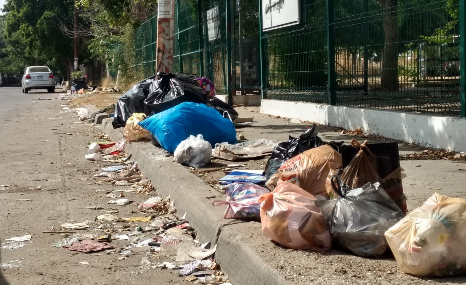 Propone especialista proyecto integral para la disposición final de la basura en Propone especialista proyecto integral para la disposición final de la basura en