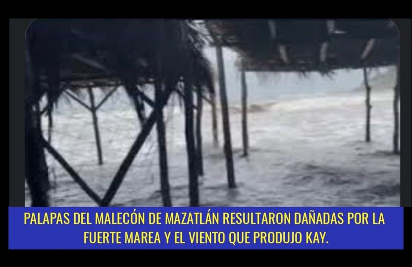 PALAPAS DE LA AV. DEL MAR EN MAZATLÁN RESULTARON DAÑADAS POR VIENTO Y OLEAJE. PALAPAS DE LA AV. DEL MAR EN MAZATLÁN RESULTARON DAÑADAS POR VIENTO Y OLEAJE.