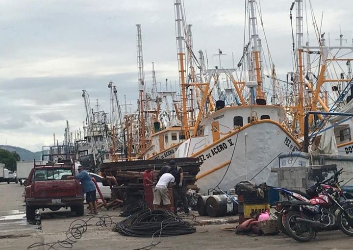 Se reactiva el movimiento en el muelle pesquero en víspera del arranque de la te Se reactiva el movimiento en el muelle pesquero en víspera del arranque de la te