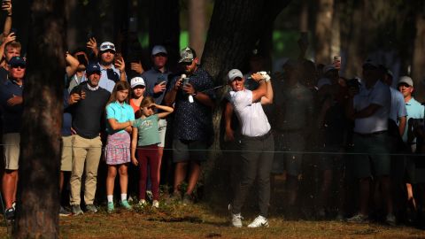 McIlroy ha disfrutado de un año estelar.