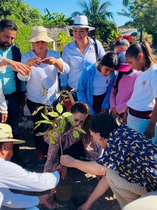 Dan ‘banderazo’ de inicio de arborización en Teacapán en circuito de “Coloreando Dan ‘banderazo’ de inicio de arborización en Teacapán en circuito de “Coloreando