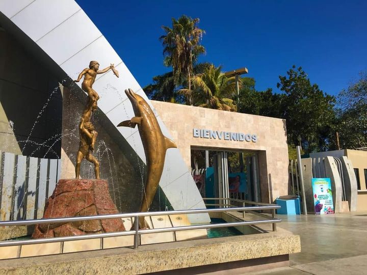 ANUNCIA ACUARIO MAZATLÁN HORARIOS DE FUNCIONES Y TAQUILLA PARA NAVIDAD Y FIN DE ANUNCIA ACUARIO MAZATLÁN HORARIOS DE FUNCIONES Y TAQUILLA PARA NAVIDAD Y FIN DE