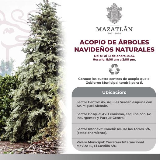 *Transforma tu árbol de navidad y protege el medio ambiente.* *Transforma tu árbol de navidad y protege el medio ambiente.*
