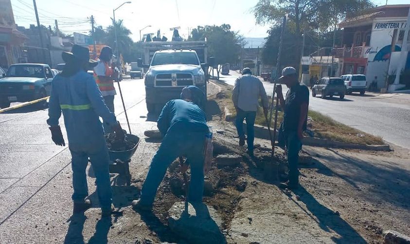 *Avanza atención a reportes de baches en toda la ciudad.* *Avanza atención a reportes de baches en toda la ciudad.*