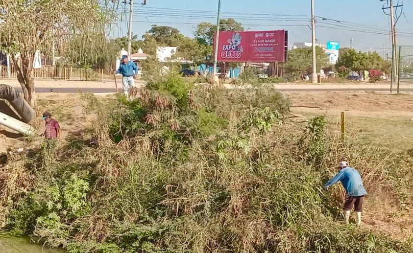 *Obras públicas realiza trabajo intenso para la limpieza y mejora de las colonia *Obras públicas realiza trabajo intenso para la limpieza y mejora de las colonia