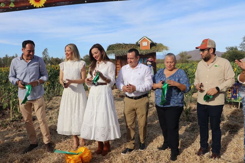 Abren temporada en el campo de girasoles en Mocorito Pueblo Mágico Abren temporada en el campo de girasoles en Mocorito Pueblo Mágico