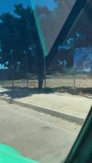 DENUNCIA CIUDADANA… DENUNCIA CIUDADANA…