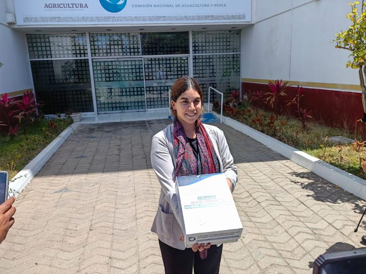 Exigen con firmas a Conapesca combate a pesca ilegal Exigen con firmas a Conapesca combate a pesca ilegal