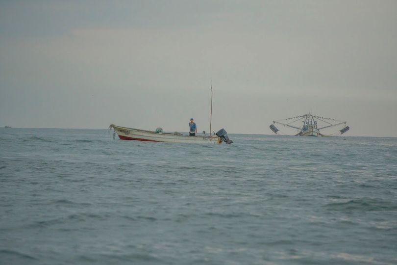 Embargo comercial de pescados y mariscos, ineficiente en el combate a la pesca i Embargo comercial de pescados y mariscos, ineficiente en el combate a la pesca i