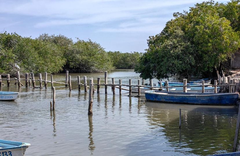 Pescadores piden apoyo para el dragado de estero Pescadores piden apoyo para el dragado de estero
