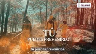 APAGA EL RIESGO, EVITA EL INCENDIO