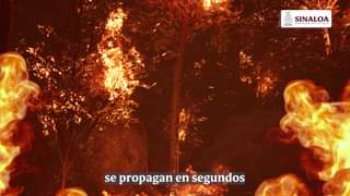APAGA EL RIESGO, EVITA EL INCENDIO