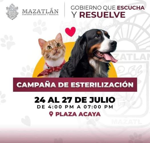 CONTINUA LA CAMPAÑA DE ESTERILIZACIÓN DE MASCOTAS EN LA PLAZA ACAYA..