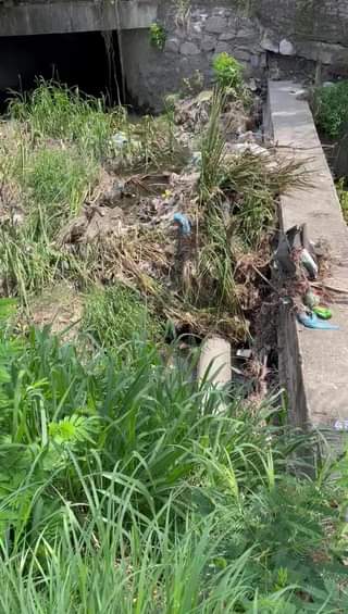 ESTE CANAL,  QUE SE ENCUENTRA A UN LADO DE LA LECHE LALA, POR EJERCITO MEXICANO