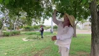 Parques y jardines en Cerritos.