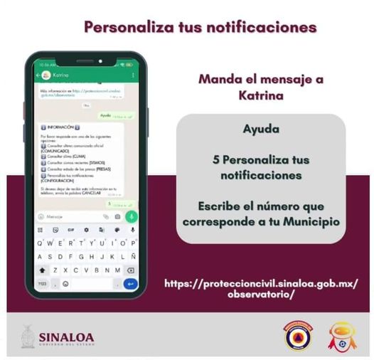 Personaliza tus notificaciones  Configura las notificaciones para que te manteng