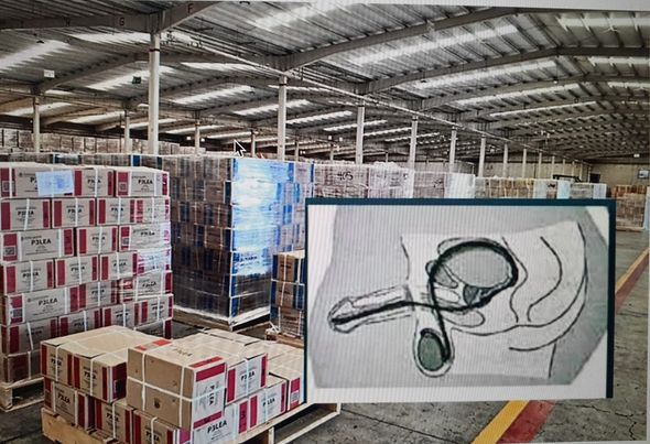 REFUTAN MAESTROS MAQUETAS SOBRE SEXUALIDAD.