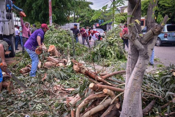Recorrido del Alcalde y funcionarios