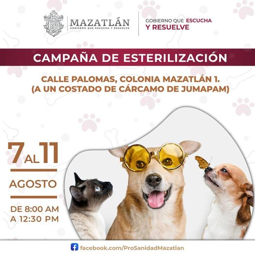 *Ecología esteriliza más de 100 animales en esta primera semana de agosto* *Ecología esteriliza más de 100 animales en esta primera semana de agosto*