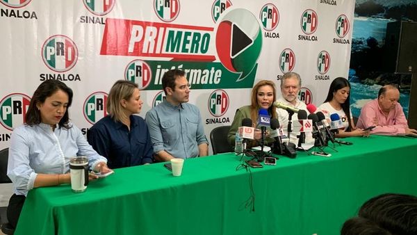 INSABI, un elefante blanco de 4T: Paola Gárate.