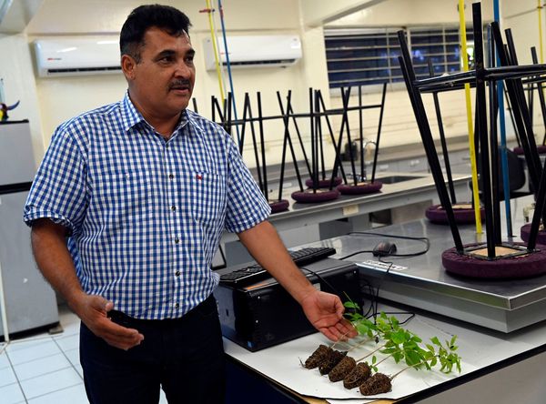 Preocupa aumento en la temperatura de los océanos, principales aliados contra el