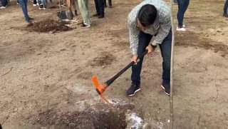 Reforestación en pradera 6