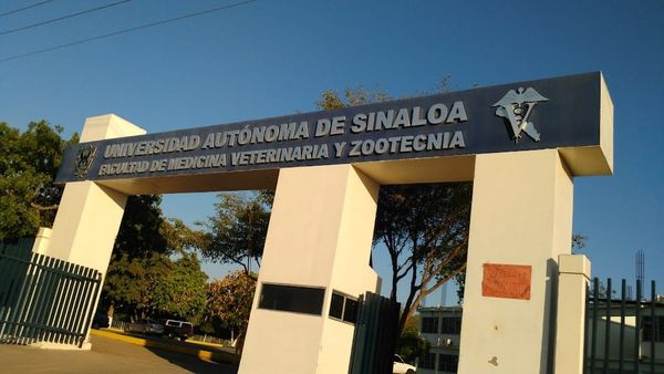 La Facultad de Medicina Veterinaria y Zootecnia de la UAS, en primer lugar de in La Facultad de Medicina Veterinaria y Zootecnia de la UAS, en primer lugar de in