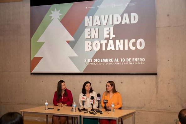 *Vuelve el espectáculo de luces, Navidad en el Botánico a partir del 3 de diciem *Vuelve el espectáculo de luces, Navidad en el Botánico a partir del 3 de diciem