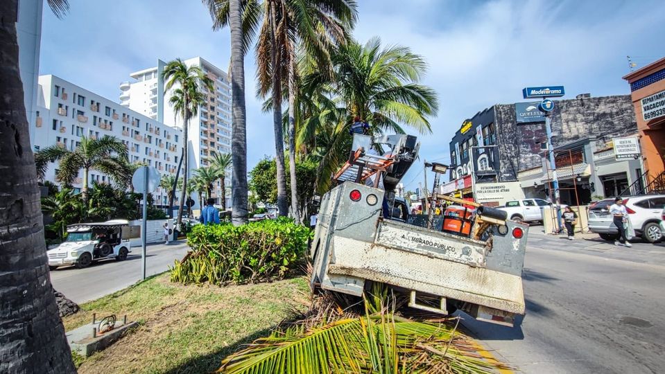 *¡Manos a la obra! Servicios públicos da  mantenimiento general y saneamiento ur