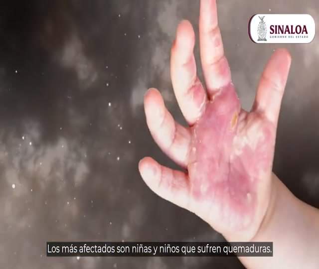 FESTEJA SIN PIROTECNIA: GOBIERNO DE SINALOA.