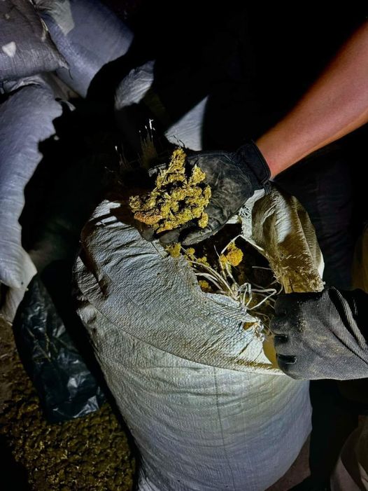 #Angostura #Decomiso