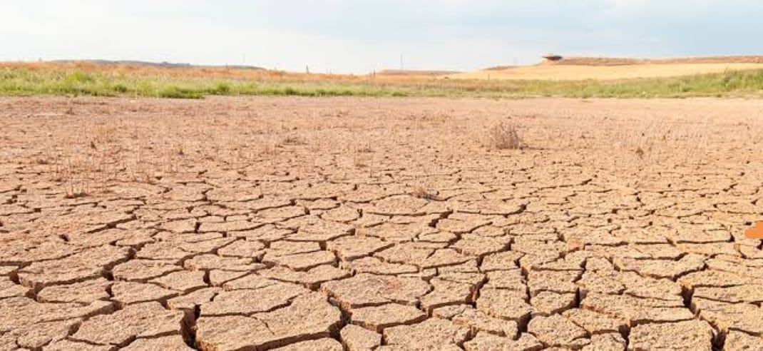 Cuatro municipios de Sinaloa enfrentan sequía excepcional