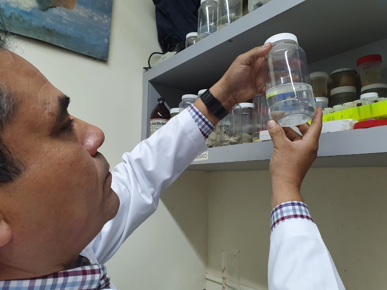 Cuerpo Académico de Vida Silvestre y Biología Molecular de la Nueva Universidad Cuerpo Académico de Vida Silvestre y Biología Molecular de la Nueva Universidad