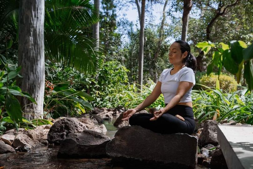 #Culiacán #Botánico