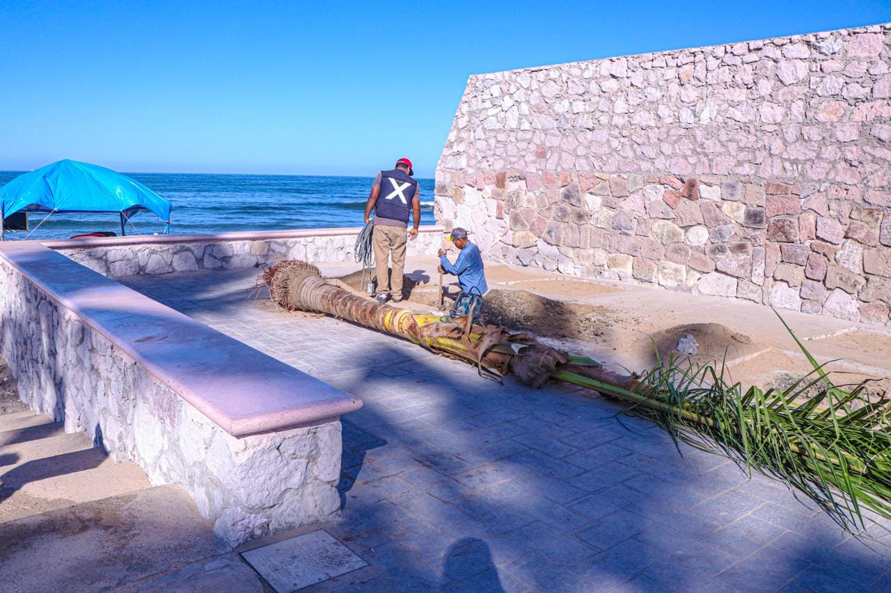 *Listos baños y regaderas en los accesos de playa.*