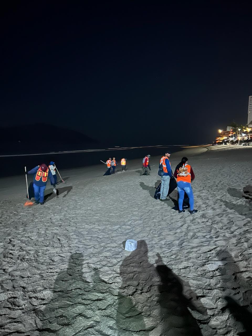 *Retiran basura de playas, malecón y accesos.*