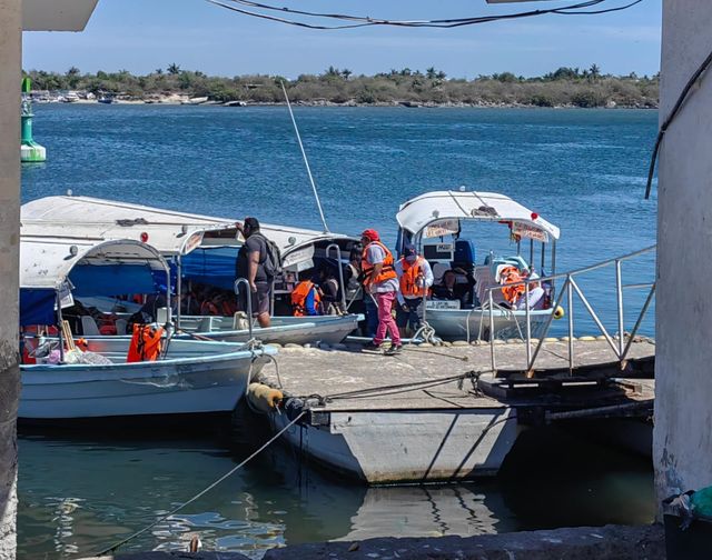 Traslados a la Isla de la piedra registraron  aumento del 40 por ciento en Seman